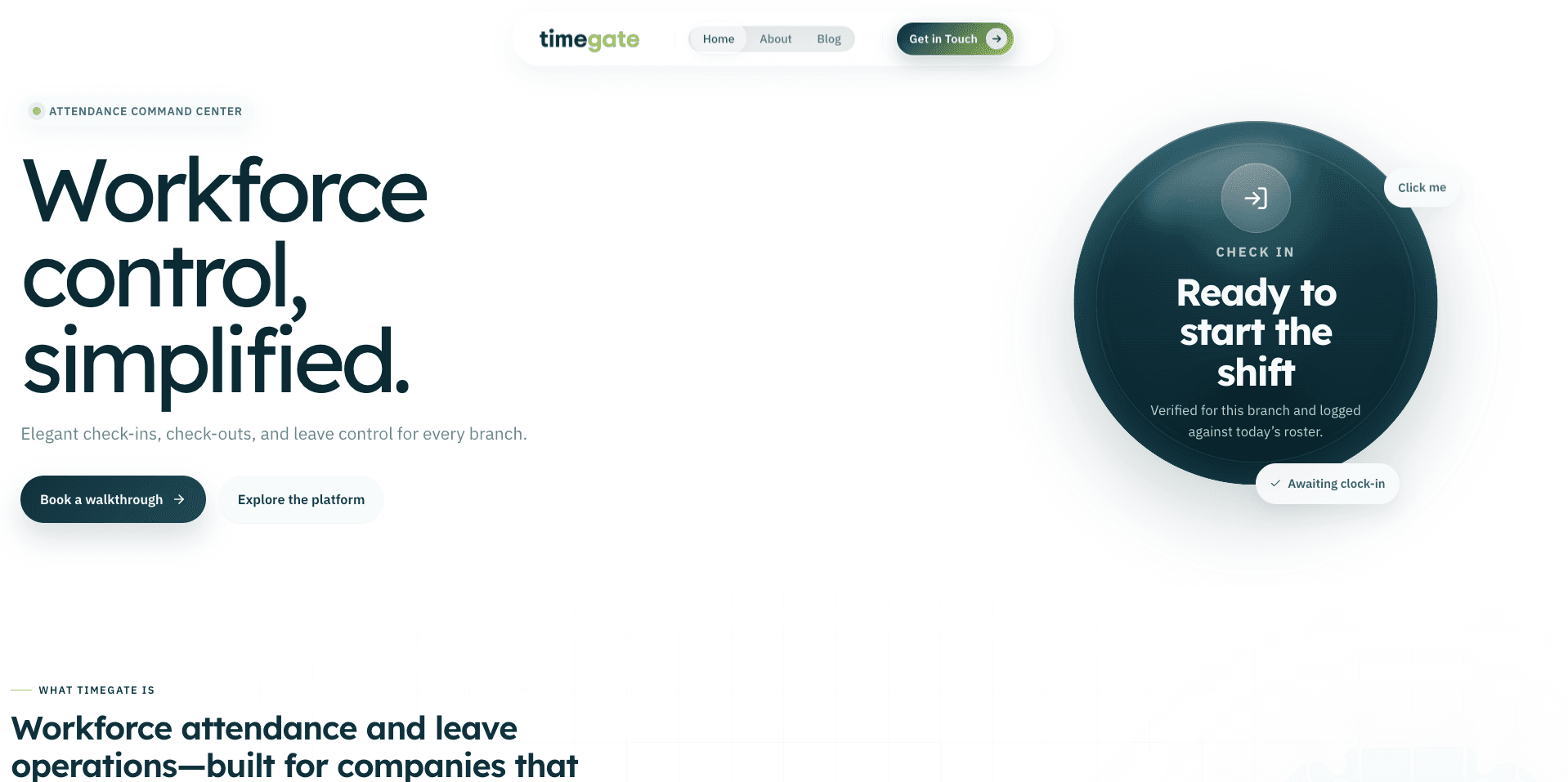 Timegate website preview